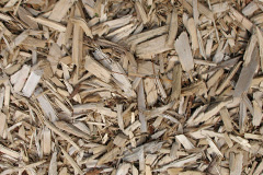 biomass boilers Fordel